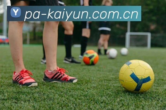 kaiyun-开云（中国）官方网站_KAIYUN.COM平台愿景